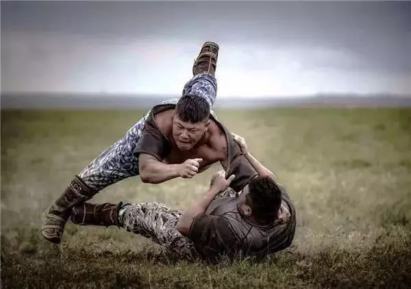 外国媒体列举蒙古人的14个实据