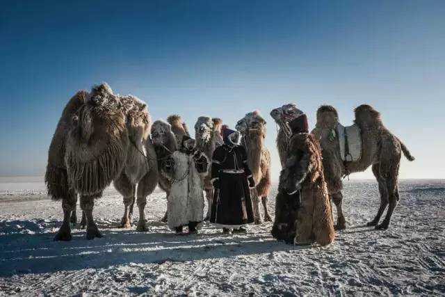 外国媒体列举蒙古人的14个实据