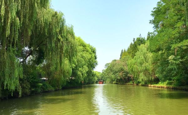 同里湿地好玩吗,同里湿地超有趣