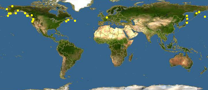 蛏子贝壳类海鲜,贝类海鲜有哪些毛蚶