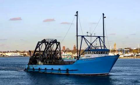 海边贝类种类,各种贝类的名称