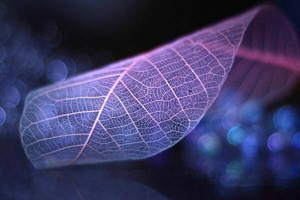 以佛治心以道治身以儒治世,以佛治心以道治身以儒治世的理解