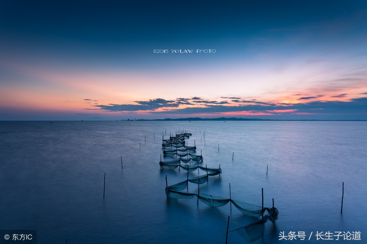 卡特总统代表谁的利益,卡特总统遇刺案