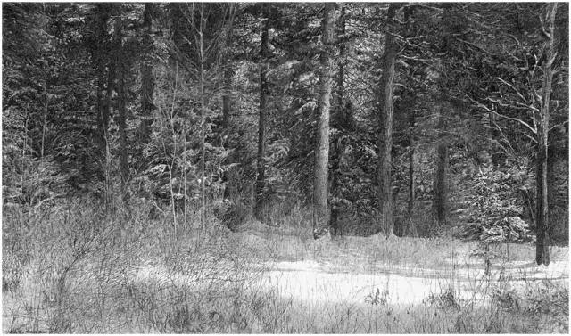 顶级超写实钢笔画,最惊艳的钢笔画大神