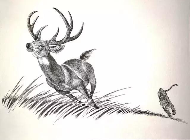 顶级超写实钢笔画,最惊艳的钢笔画大神