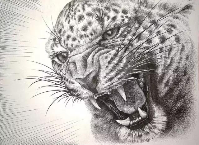 顶级超写实钢笔画,最惊艳的钢笔画大神