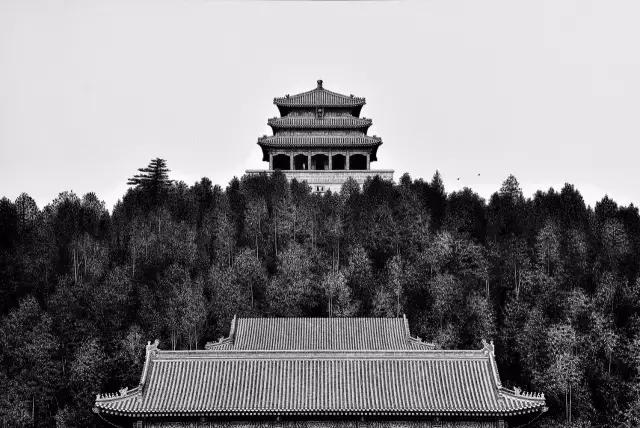 顶级超写实钢笔画,最惊艳的钢笔画大神