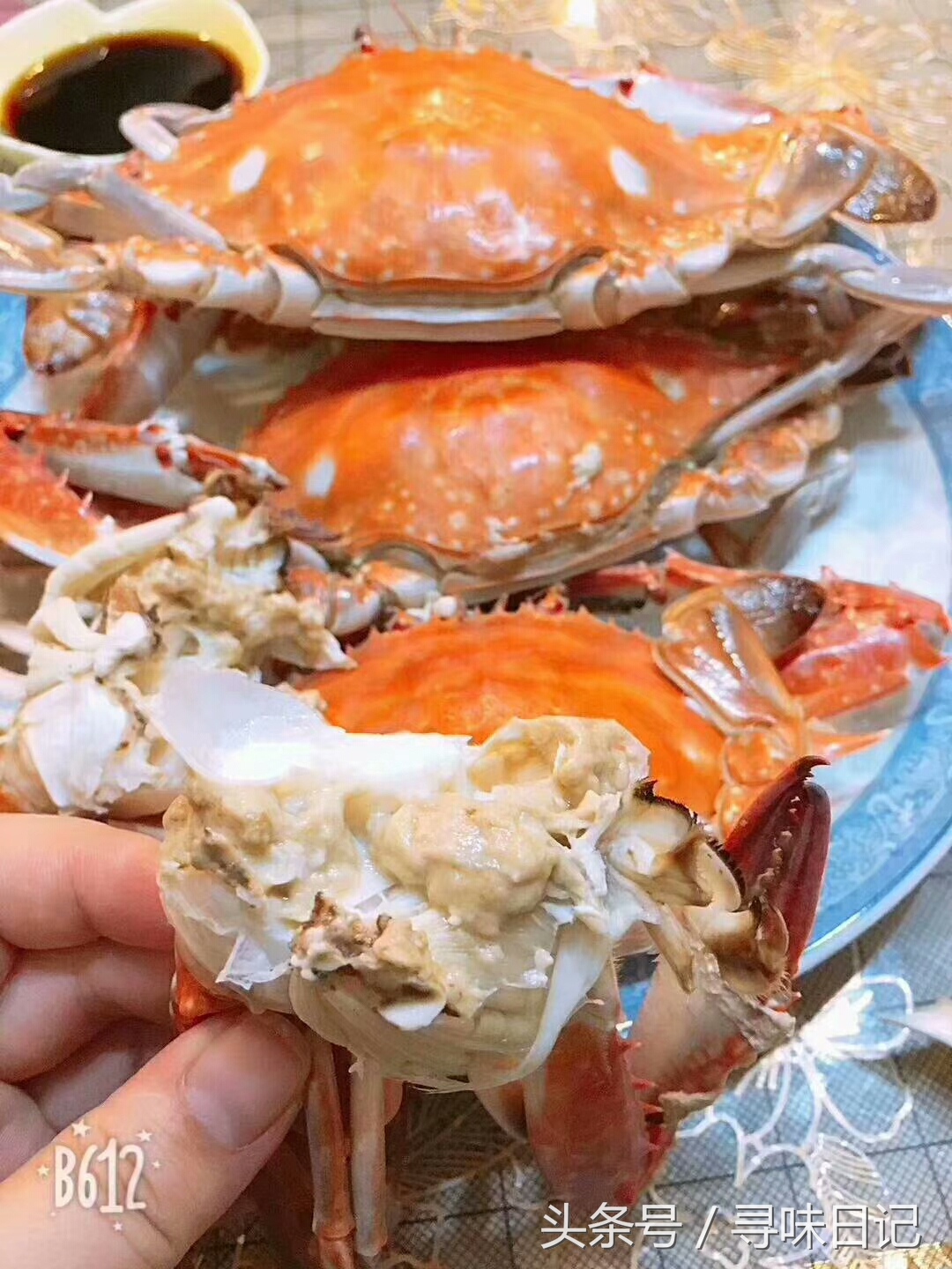 吃不完的梭子蟹怎么养起来,梭子蟹吃不习惯