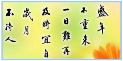 仁爱版七年级下册英语单词表默写,仁爱版英语七年级下册单词表跟读