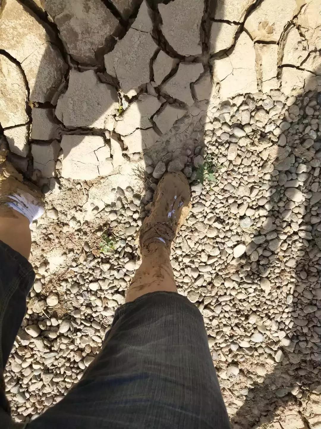 碧桂园扶贫基地在哪里,碧桂园扶贫英德