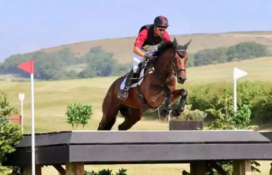 「京彩雅加达」马背上的绅士——华天