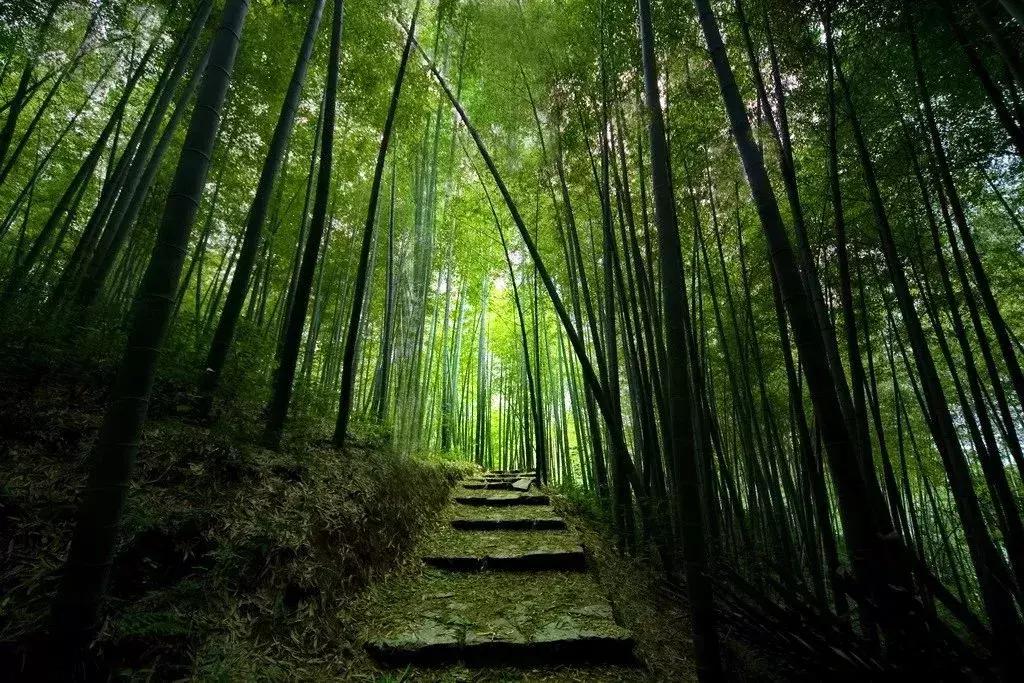 南京石塘竹海小九寨沟,南京小九寨沟石塘竹海