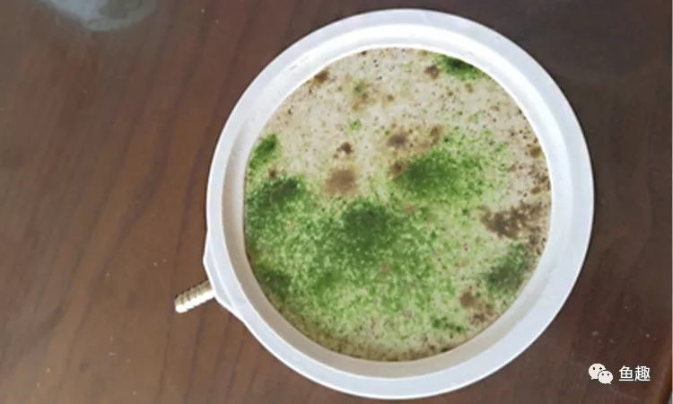 纳米气盘经常堵塞脱落,贵巴巴