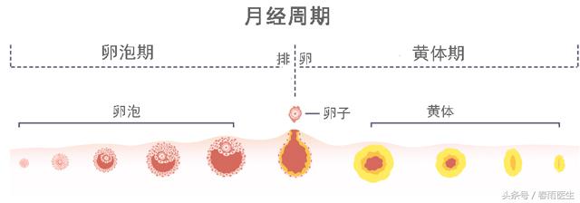 经期前后三天能上体育课吗,姨妈期体育课可以跑步吗