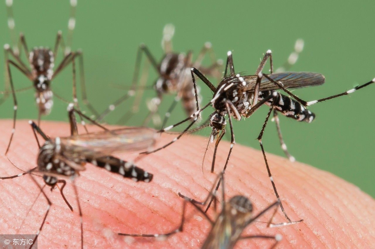 炉甘石洗剂的功效与作用,炉甘石洗剂用完了要洗掉吗