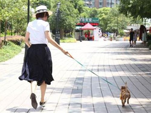 刚到家的小狗要熬过几天的危险期,刚买回来的小狗应该怎么养