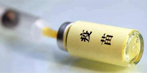 小狗刚到家怎么养柯基呢,小狗刚到家关笼子里一直叫怎么办