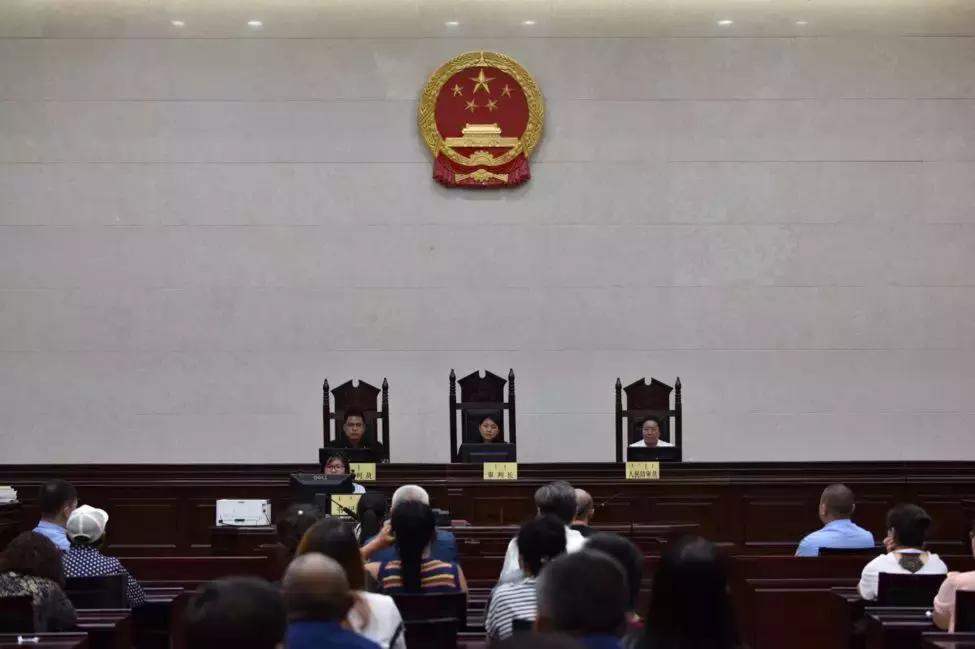 鄂尔多斯非法吸收公众存款案件,侦破非法吸收公众存款案典型案例