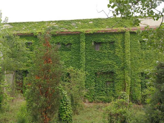 日照滨海小镇游玩攻略,日照滨海一日游