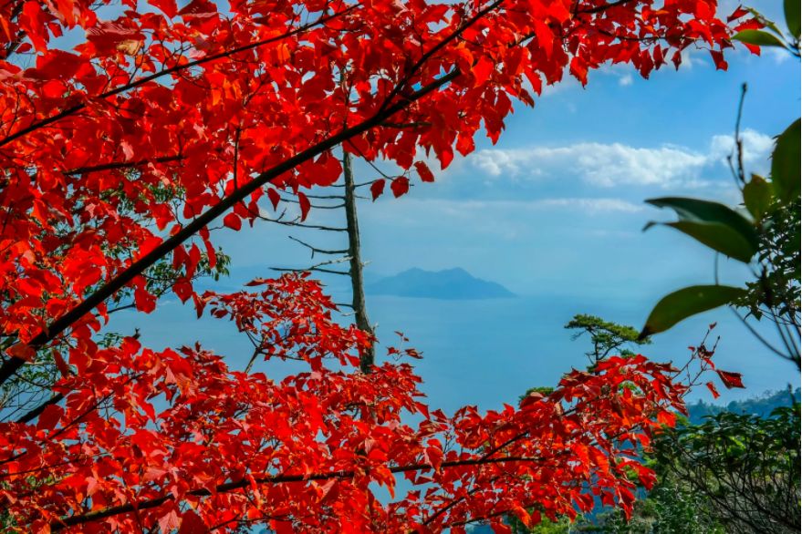 日本最高级的温泉,日本最古老的温泉是什么