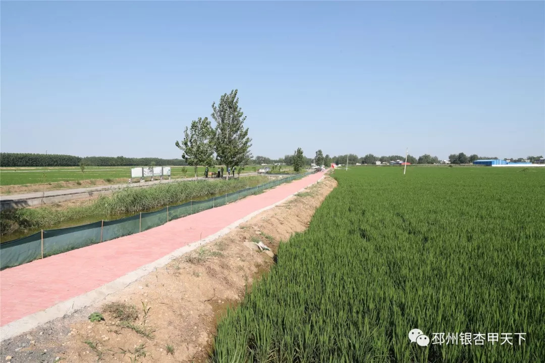 来不及解释了快上车原版视频,来不及解释了快上车动态图