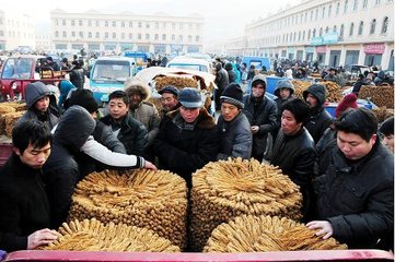 岷县花儿唱不完,岷县花儿赞歌