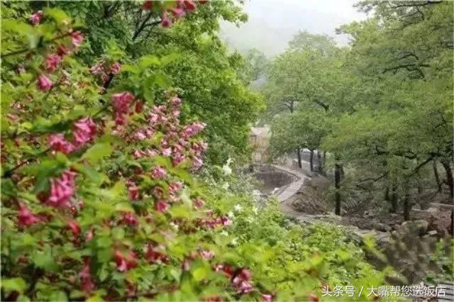 普兰店摩崖石刻景点图片,普兰店摩崖石刻门票