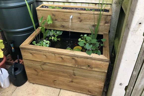 龟缸沼泽过滤系统视频,龟池沼泽过滤