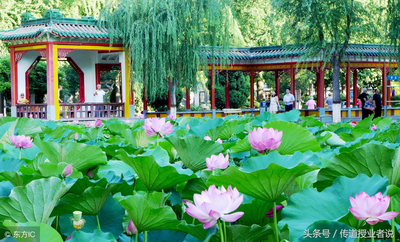 王维最美的20首诗：诗中有画，句句皆禅