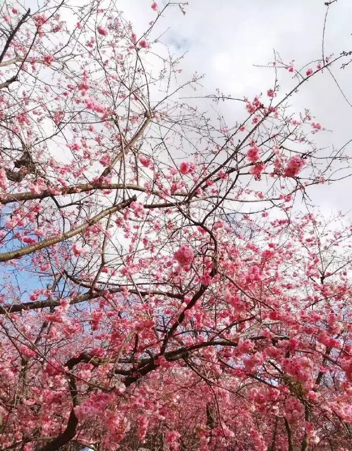 你以为的昆山和真实昆山,关于昆山最新消息