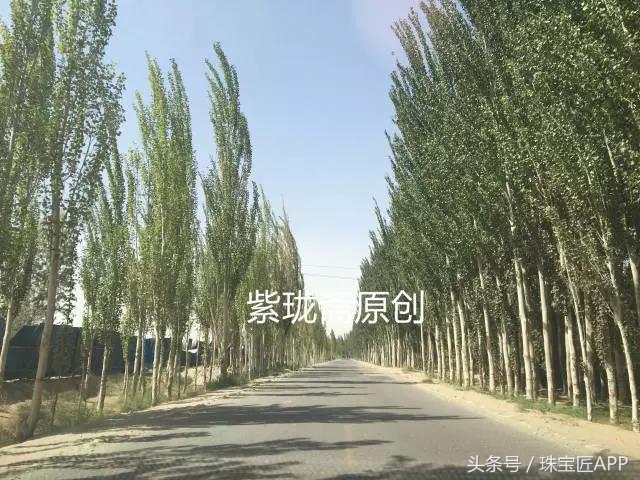 寻宝和田玉视频,新疆和田玉寻宝记