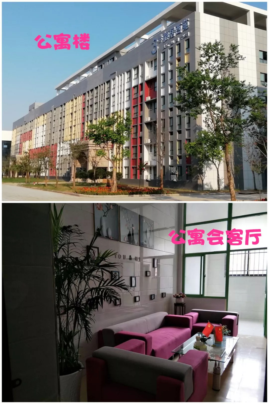 河南高校寝室哪个好,河南高校的宿舍条件