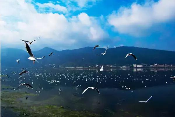 月牙潭公园免费拍照,月牙潭公园收费吗