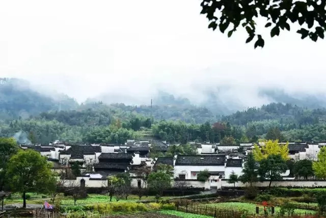 安徽景区免票最新政策九华山,安徽九华山景点半价