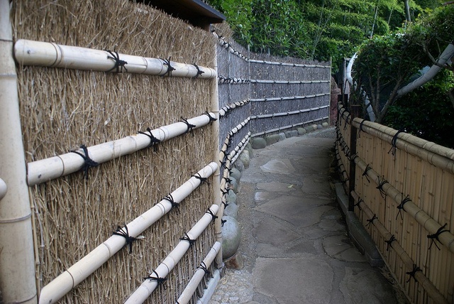 庭院元素,庭院竹子造型布局