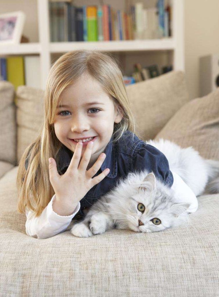 养猫人吸入猫毛的危害,猫毛会被人吃进肚子会怎么样