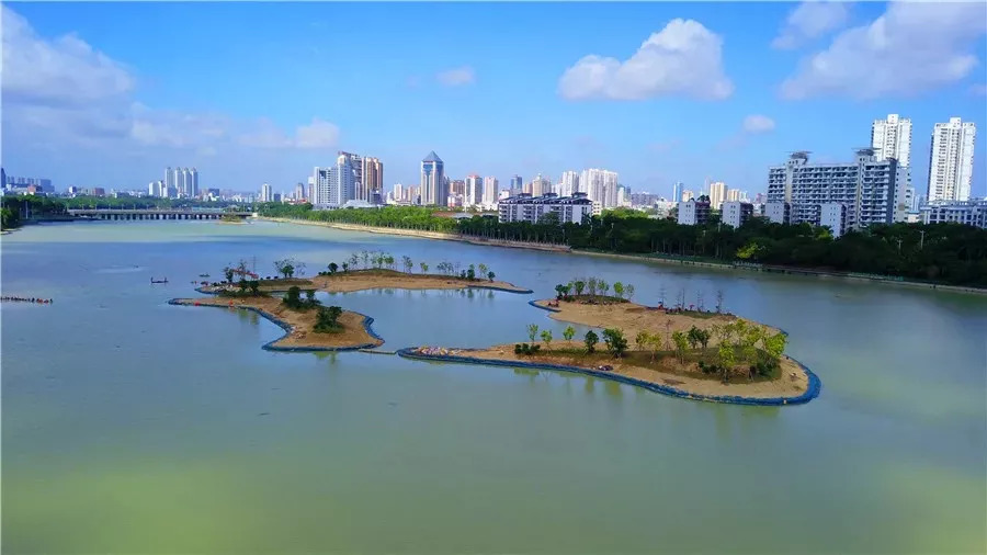 水清岸绿景怡人再添休闲好去处,冬日的南湖公园有多美