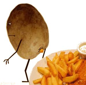 便便时被水溅到屁股怎么办？教你科学压水花，成为厕所王者