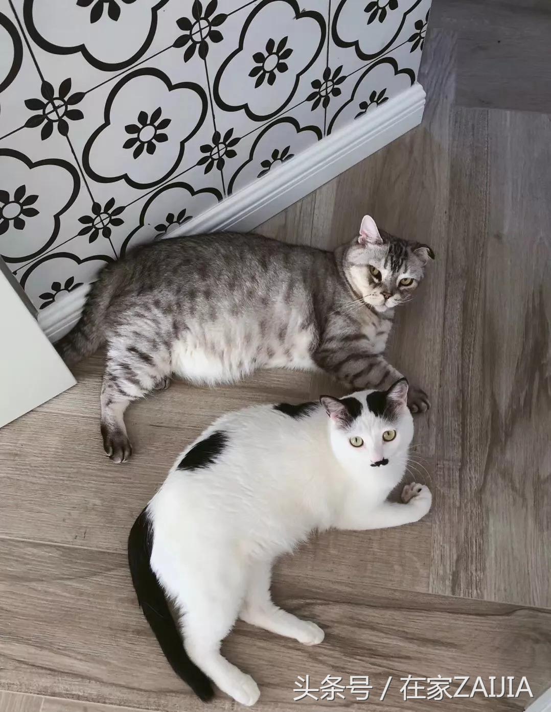 有衣帽间榻榻米的卧室,7平米榻榻米衣帽间