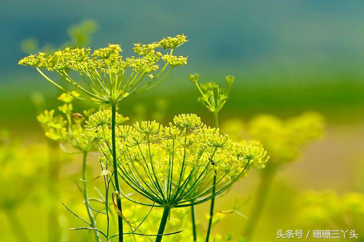 用色彩和光线拍出来的摄影作品,大色块高饱和度摄影什么风格