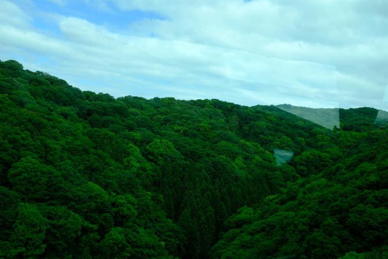 一个自称高达迷的媳妇迷拎包客的日本蜜月之行，幸福满满~
