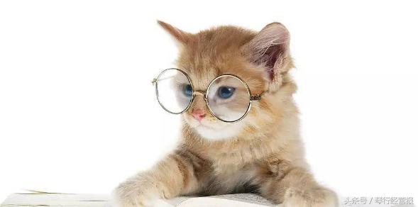 网购乐器在哪里买靠谱,网上购买乐器哪个平台好