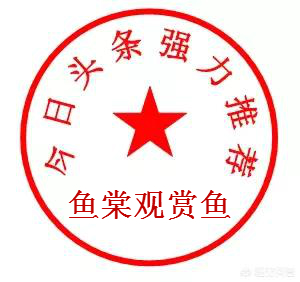 养硬骨珊瑚需要什么设备,新手养珊瑚步骤