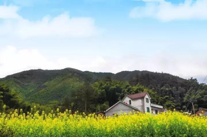 99%的人念错了名字！这份和浙江有关的考试，你可能要不及格！