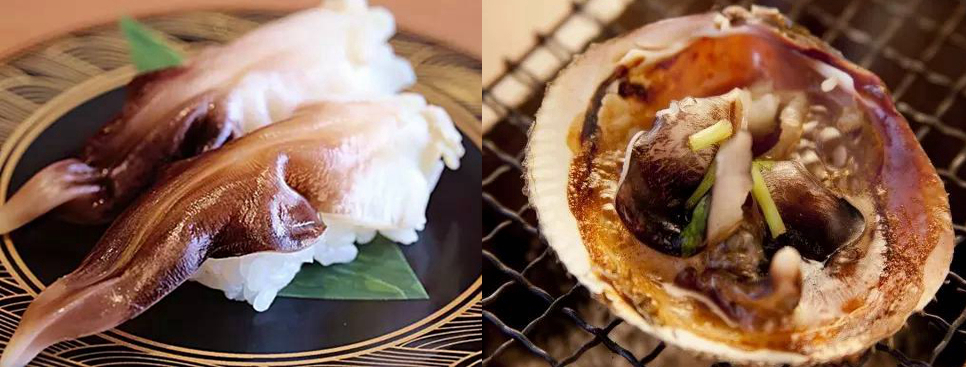 海边贝类种类,各种贝类的名称