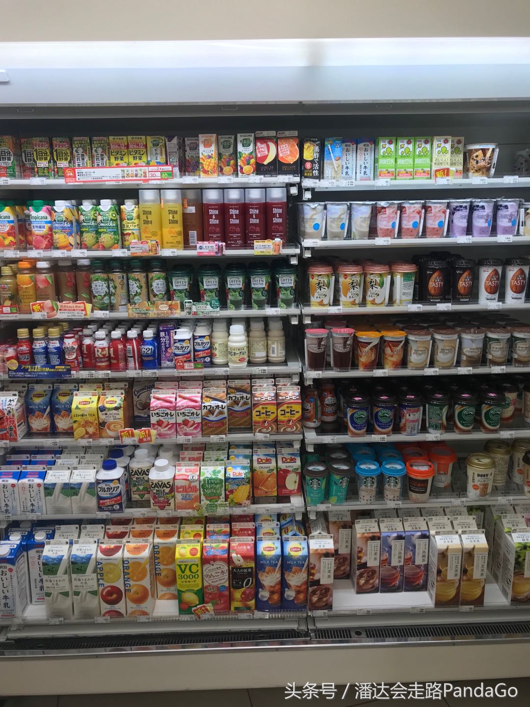 魔都美亚代购,魔都流水账原版