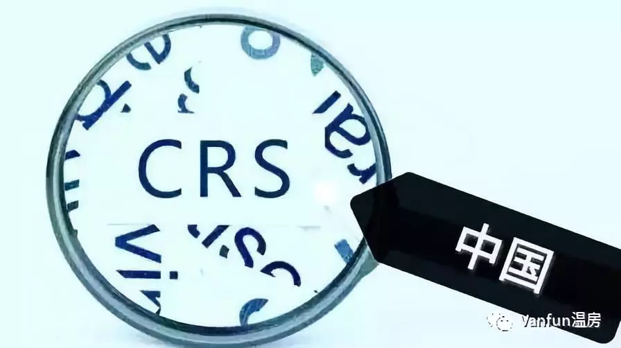 海外税务共同申报,加拿大税务申报