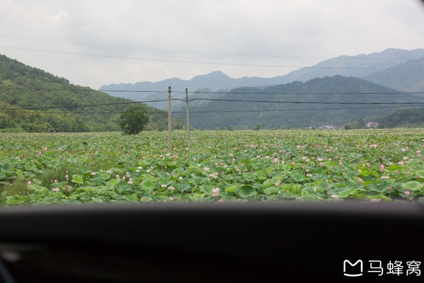 六小爷游皖南行,六小爷唱的歌