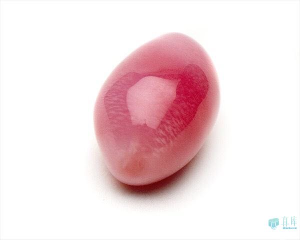 海螺珠美乐珠的区别,海螺珠和美乐珠哪个更珍贵