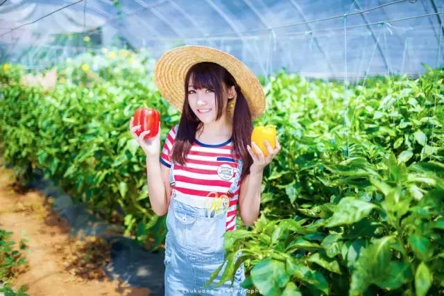 狗年犯太岁是哪几个生肖,狗年2021运势犯太岁怎么化解